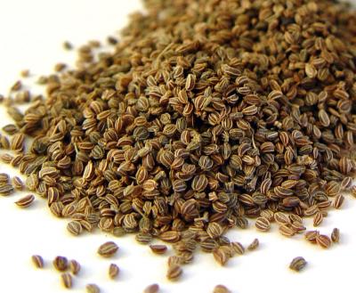 Global Celery Seeds Market Share, Growth, Analysis, Size