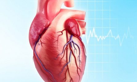 Coronary Artery Bypass Graft Market