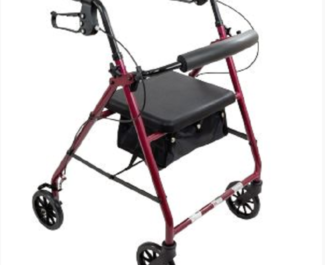 Rollator Walker Market Insights, Forecast to 2026