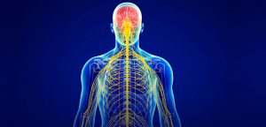 Central Nervous System Biomarkers Market