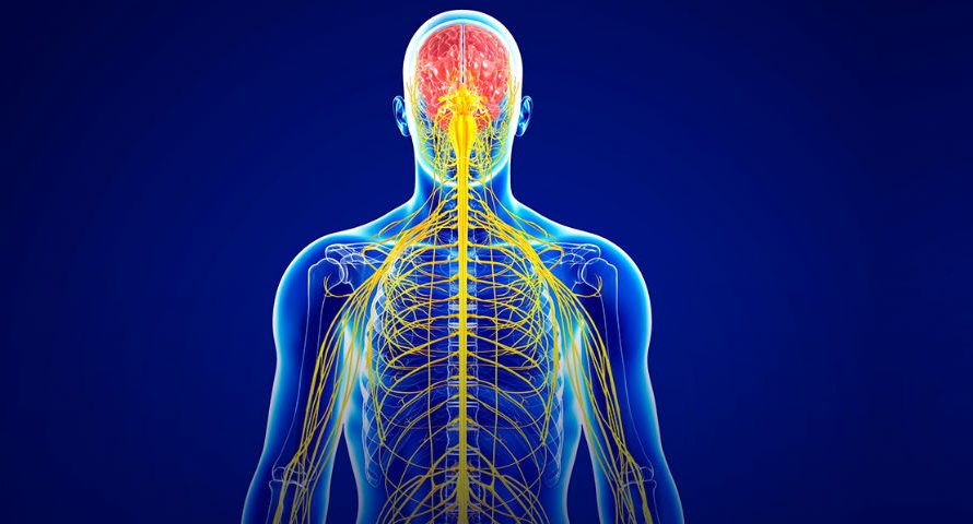 Central Nervous System Biomarkers Market Regions, Type And Application