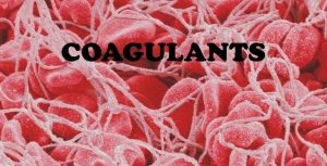 Coagulants Market