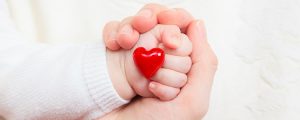 Congenital Heart Disease Occluder Market