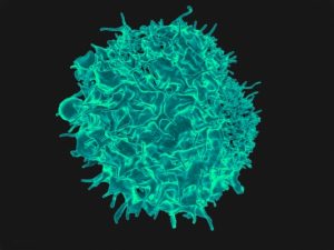 Cytokines Market