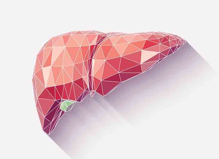 Liver Function Tests Market Analysis And Forecast from 2020 to 2026