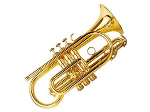 Musical Instrument Market