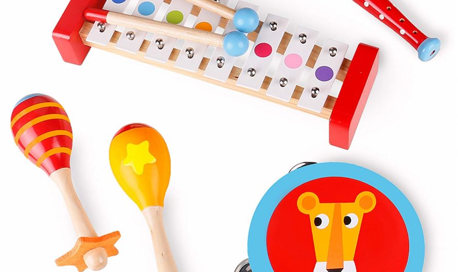 Musical Toys Market Share, Trend, Segmentation and Forecast