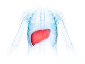 Nonalcoholic Steatohepatitis Market