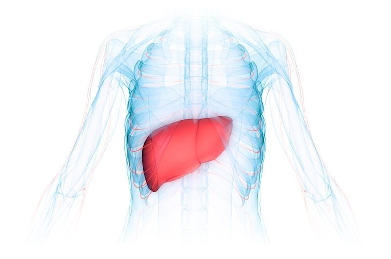 Nonalcoholic Steatohepatitis NASH Market 2020-2026 Growth, Trends and Demands