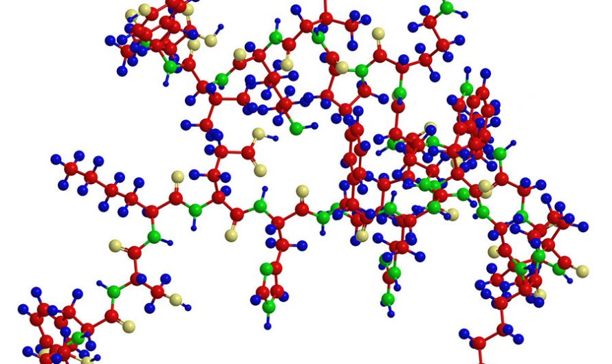 Peptides Market Size, Growth, Trends and 2026