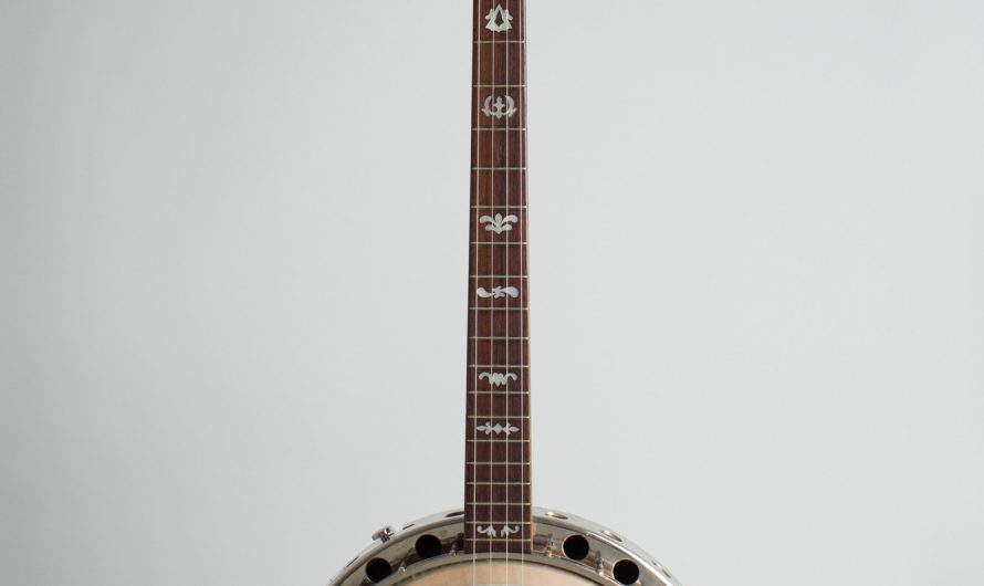 Plectrum Banjos Market Size, Status, Analysis and Forecast