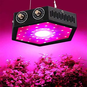 Global Grow Lights Market Size, Share, Growth, Price, Trend, Market Analysis and Forecast 2019 to 2024