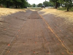 Erosion Control Blanket