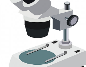 Light Microscopes Market