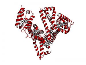 Serum Albumin Market