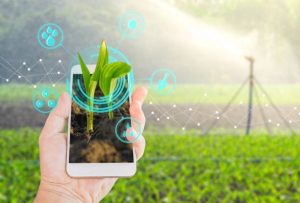 Smart Agriculture