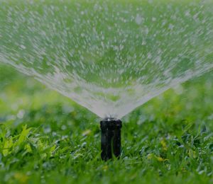 Smart Sprinkler Irrigation
