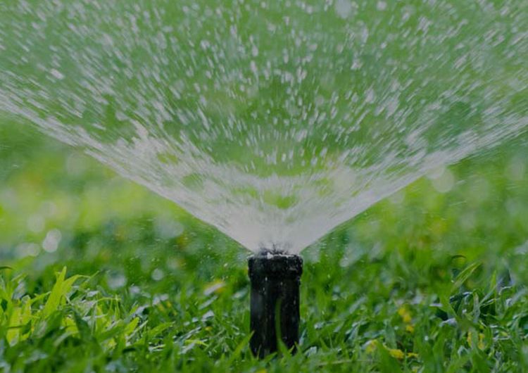 Smart Sprinkler Irrigation Systems Market Trends, Share, Forecast, Size