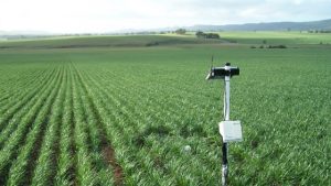 Soil Moisture Monitoring