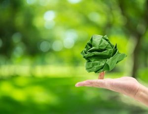 Sustainable Paper