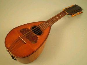 Twelve-string Mandolin Market