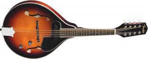 Twelve-string Mandolin Market
