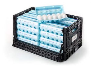 Global Egg Packaging Market Study 2016-2026,