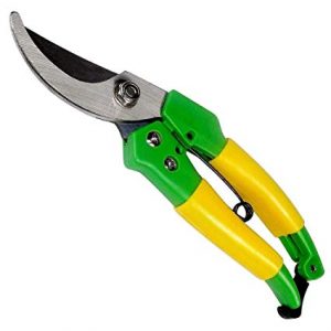 Global Hand Pruner Market Size, Share, Growth, Price, Trend, Market Analysis and Forecast 2019 to 2024