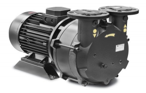 Automotive Evp