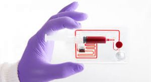 Cell Sorting Market