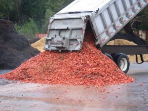 Chitin Fertilizer
