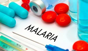 Drugs for Malaria Market