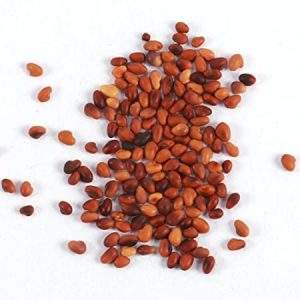 Flower Seeds