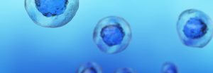 Protein Characterization Instrument Market