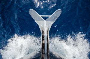 Yacht Anchors