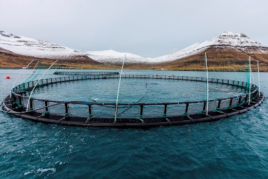 Global Aquaculture Cages Market, Status, Forecast by Players, Types