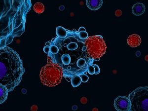 Cell Therapy Market