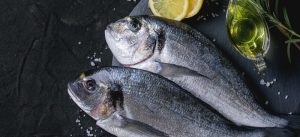 Fish Collagen Market