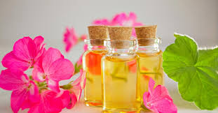 Geranium Oil Market