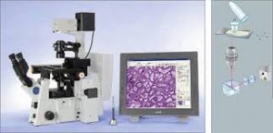 Immunofluorescence Laser Capture Microdissection Equipment Market