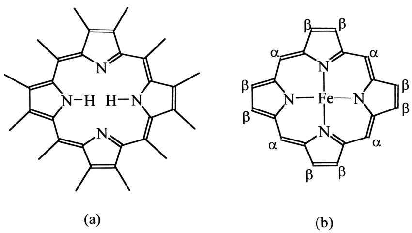 Iron Porphyrin Market Analysis, Trends, Key Players and Forecast 2024