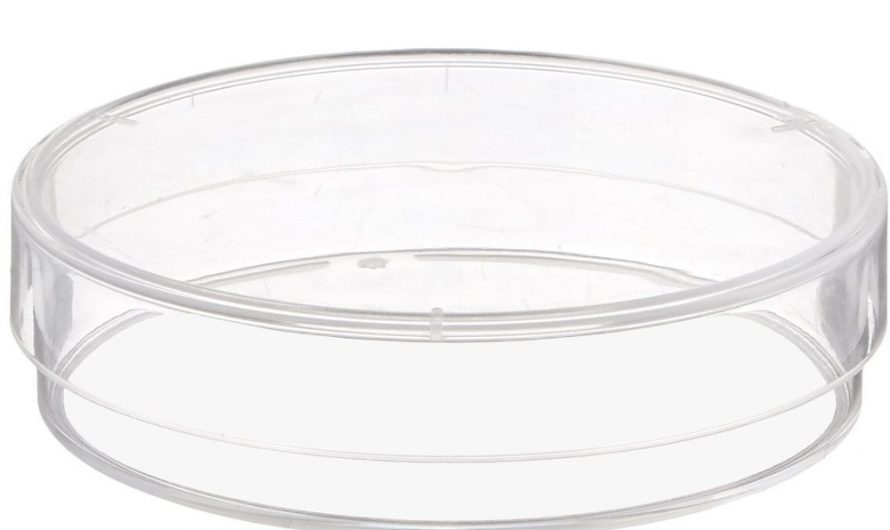 Petri Dishes Market Shares, Size and Forecast Up 2025