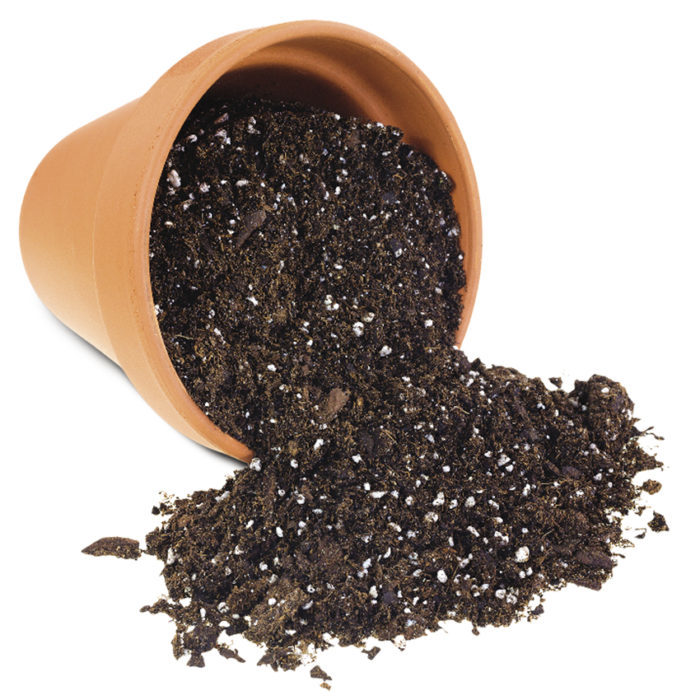 Potting Soil